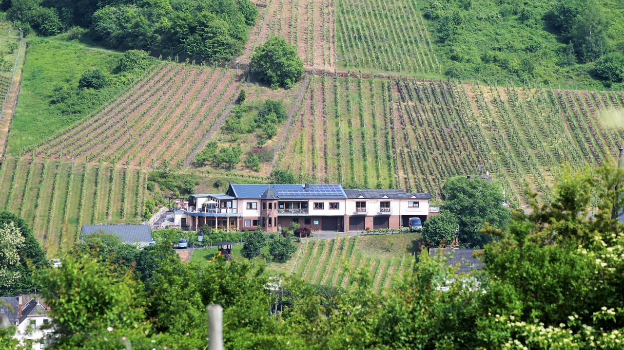 Urlaubsweingut Zecherhof Neef Eksteriør bilde