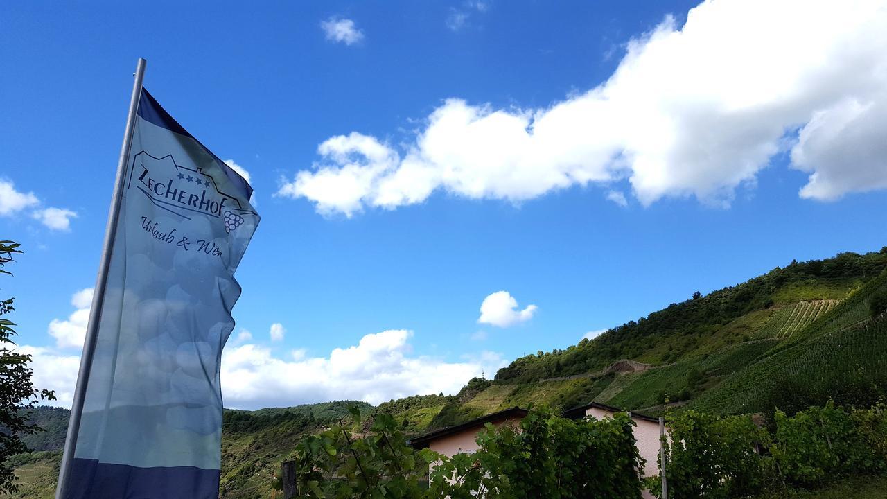 Urlaubsweingut Zecherhof Neef Eksteriør bilde